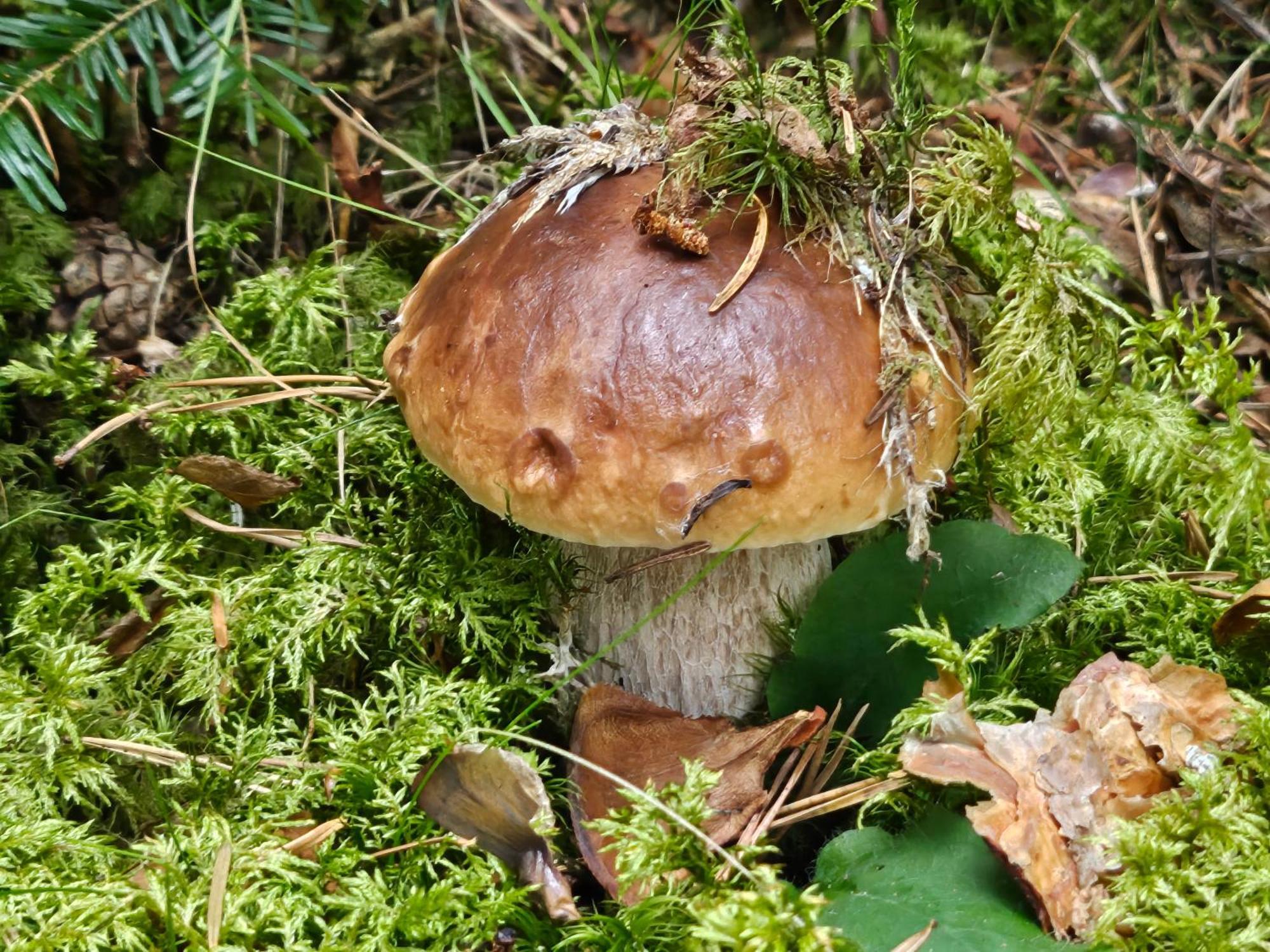 Langeac La Bourzede 아파트 외부 사진